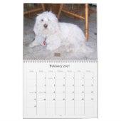 Bichon Friséのカレンダー カレンダー (2月 2027)