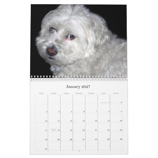 Bichon Friséのカレンダー カレンダー (1月 2027)