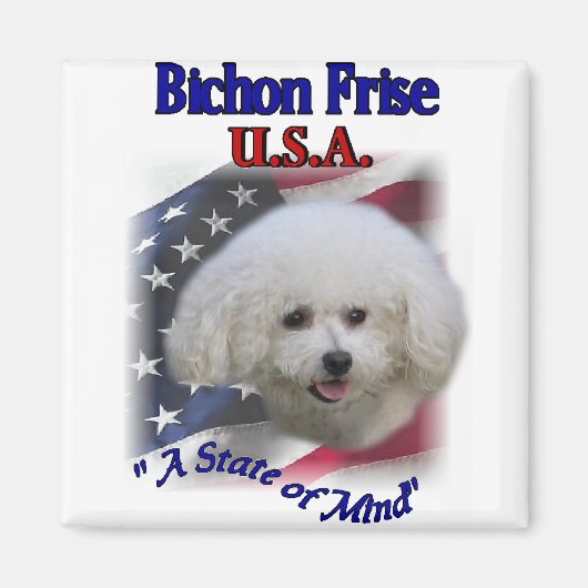 Bichon Friseのギフト マグネット (正面)