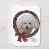 Bichon Friseのクリスマス シーズンカード (正面)