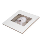 Bichon Friseのタイル タイル (側面)