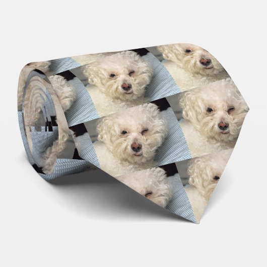 Bichon Friseのタイ ネクタイ (ロール)