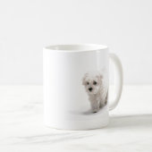 Bichon Friseの写真のコーヒー・マグ コーヒーマグカップ (正面右)