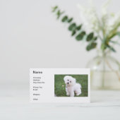 Bichon Friseの名刺 名刺 (スタンド正面)