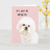 Bichon Friseの図解入りの、写真付きのな挨拶状 カード (黄色い花)