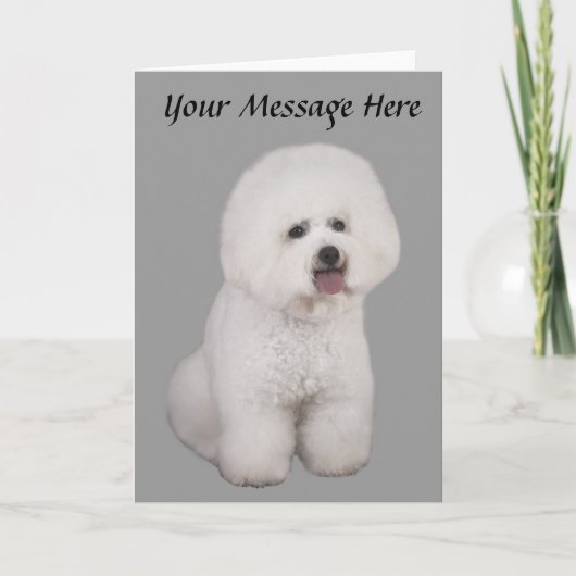 Bichon Friseの大切な挨拶状 シーズンカード (正面)