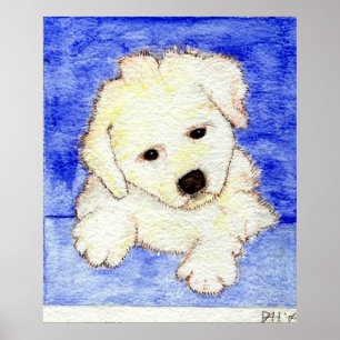 Bichon Friseの小犬のポートレート ポスター