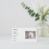 Bichon Friseの微笑の名刺 名刺 (スタンド正面)