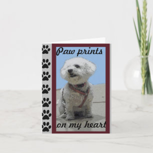 Bichon Friseの挨拶状 カード