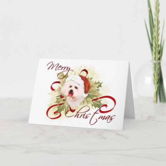 Bichon Friseクリスマスカード シーズンカード (正面)