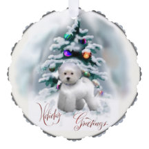 Bichon Friseクリスマスプレゼント