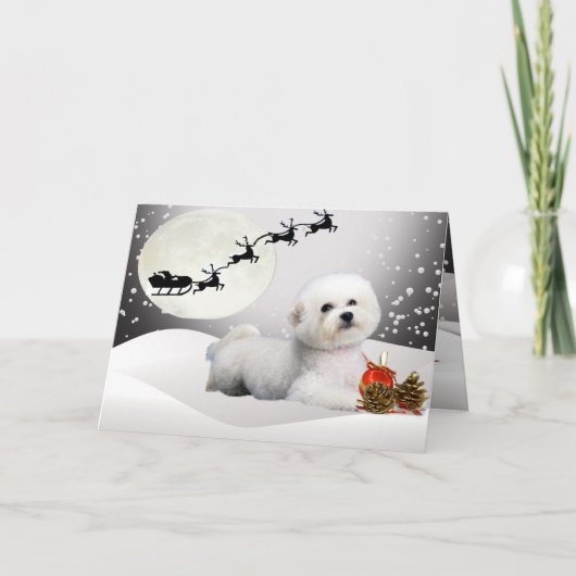Bichon Friseメリークリスマスの挨拶状 シーズンカード (正面)