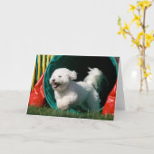 「Bichon Frise機敏性」フォトグリーティングカード カード (黄色い花)