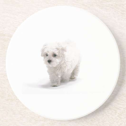 Bichon Frise犬のコースター コースター (正面)