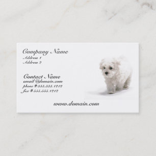Bichon Frise犬の名刺 名刺