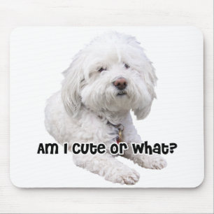 Bichon Frise犬 マウスパッド