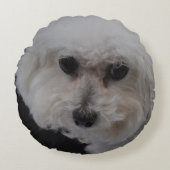 Bichon Frise犬 ラウンドクッション (正面)