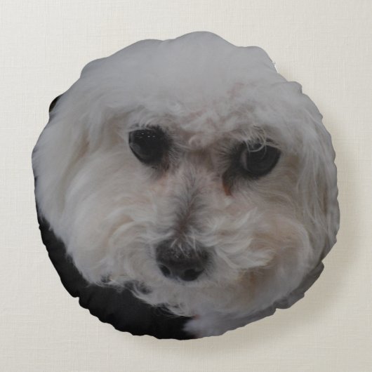 Bichon Frise犬 ラウンドクッション (裏面)