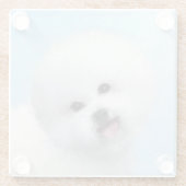 Bichon Frise絵画's – かわいいオリジナルドッグアート ガラスコースター (裏面)