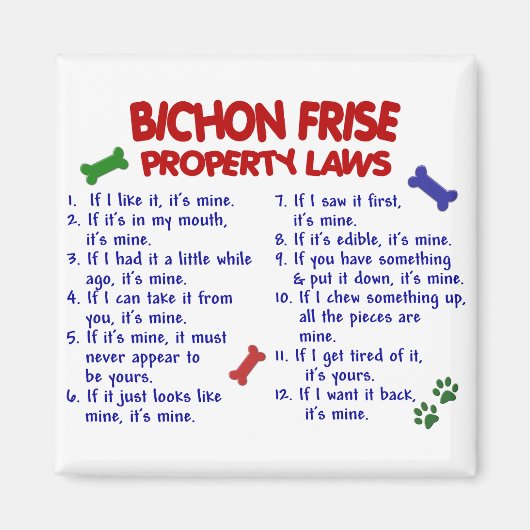 BICHON FRISE財産法2 マグネット (正面)