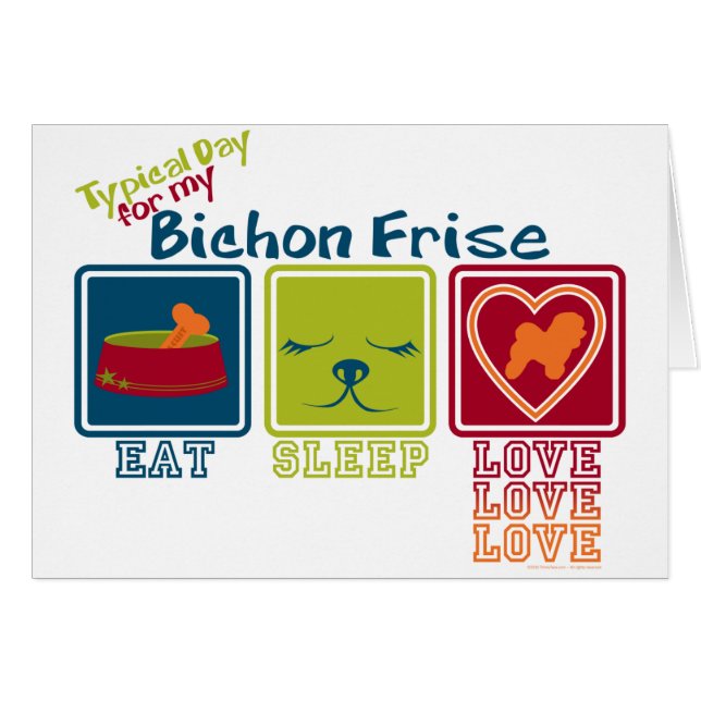Bichon Frise (正面横)