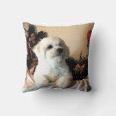 Bichon Frise クッション (裏面)