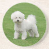 Bichon Frise コースター (正面)