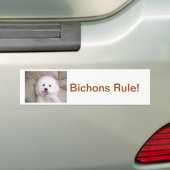 Bichon Frise バンパーステッカー (車上)