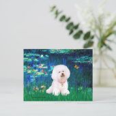 Bichon Frise 1 – ライリー#5 ポストカード (スタンド正面)