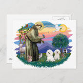 Bichon Frise (2) ポストカード (正面/裏面)