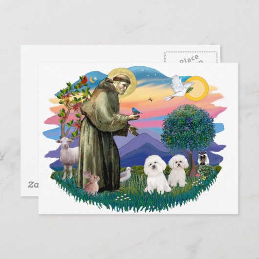 Bichon Frise (2) ポストカード (正面/裏面)