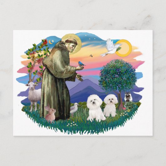 Bichon Frise (2) ポストカード (正面)