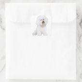 Bichon Frise (A) スクエアシール (バッグ)
