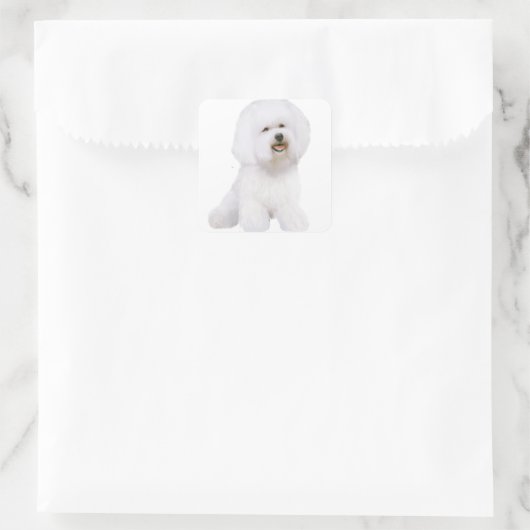 Bichon Frise (A) スクエアシール (バッグ)