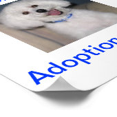 Bichon Frise Adoption Todayのサイン ポスター (角)