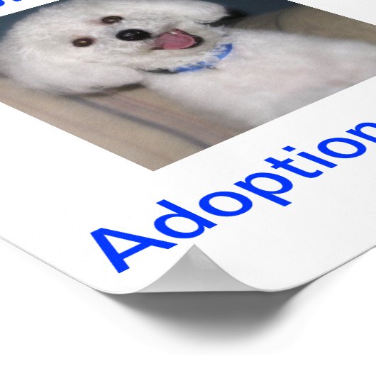 Bichon Frise Adoption Todayのサイン ポスター (角)