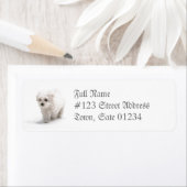Bichon Frise Dog Mailing Label ラベル (インサイチュ)