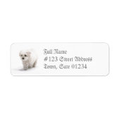 Bichon Frise Dog Mailing Label ラベル (正面)