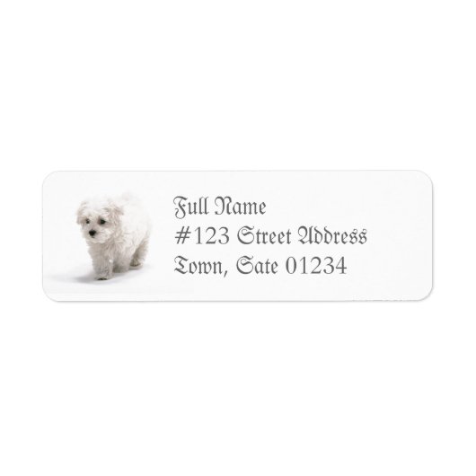 Bichon Frise Dog Mailing Label ラベル (正面)