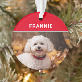 Bichon Frise Dog's Name and Photo Christmas オーナメント