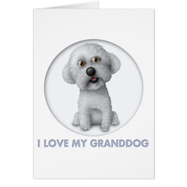 Bichon Frise Granddog (正面)