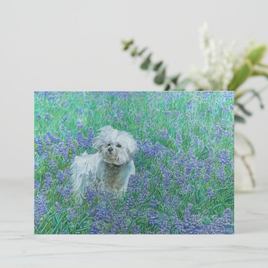 Bichon Frise in Bluebonnets サンキューカード (スタンド正面)