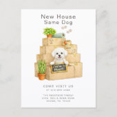 Bichon Frise New House Moving Announcement ポストカード (正面)