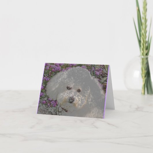 Bichon Frise Notecard カード (正面)