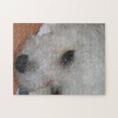 Bichon Frisé.png ジグソーパズル (横)