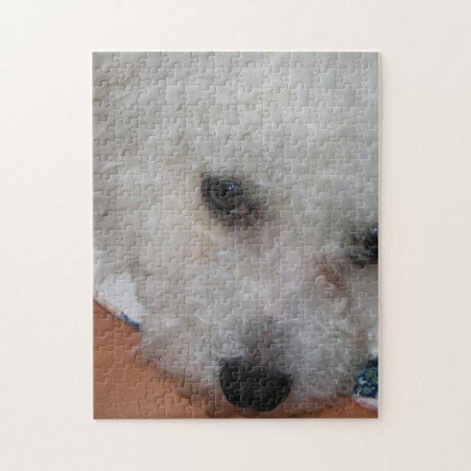 Bichon Frisé.png ジグソーパズル (縦)