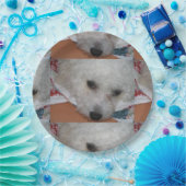 Bichon Frisé.png ペーパープレート (パーティー)