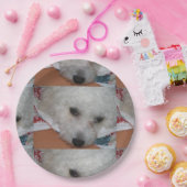 Bichon Frisé.png ペーパープレート (パーティー)