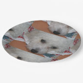 Bichon Frisé.png ペーパープレート (アングル)