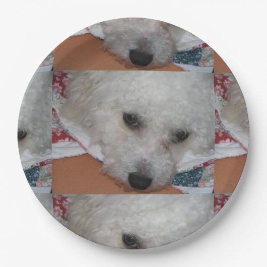 Bichon Frisé.png ペーパープレート (正面)